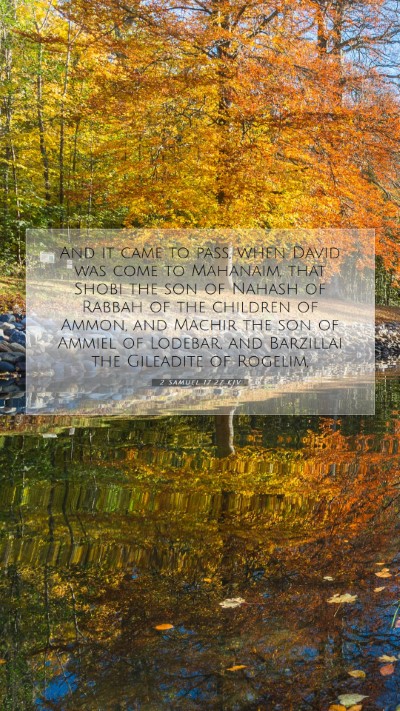 Picture 07 - 2 Samuel 17:27 KJV Mobile Phone Wallpaper - And it came to pass, when David was come to - Mobile Bible Verse Wallpaper