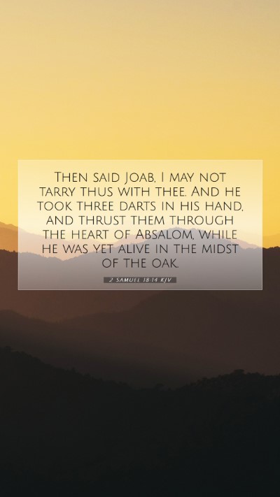 Picture 07 - 2 Samuel 18:14 KJV Mobile Phone Wallpaper - Then said Joab, I may not tarry thus with thee. - Mobile Bible Verse Wallpaper