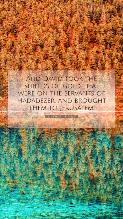 Picture 07 - 2 Samuel 8:7 KJV Mobile Phone Wallpaper - And David took the shields of gold that were on - Mobile Bible Verse Wallpaper