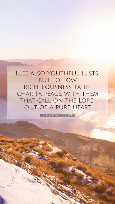 Picture 07 - 2 Timothy 2:22 KJV Mobile Phone Wallpaper - Flee also youthful lusts: but follow - Mobile Bible Verse Wallpaper
