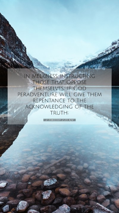 Picture 07 - 2 Timothy 2:25 KJV Mobile Phone Wallpaper - In meekness instructing those that oppose - Mobile Bible Verse Wallpaper