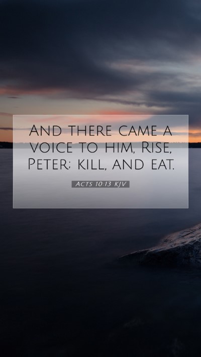 Picture 07 - Acts 10:13 KJV Mobile Phone Wallpaper - And there came a voice to him, Rise, Peter; kill, - Mobile Bible Verse Wallpaper
