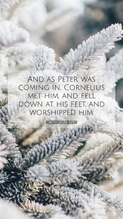 Picture 07 - Acts 10:25 KJV Mobile Phone Wallpaper - And as Peter was coming in, Cornelius met him, - Mobile Bible Verse Wallpaper