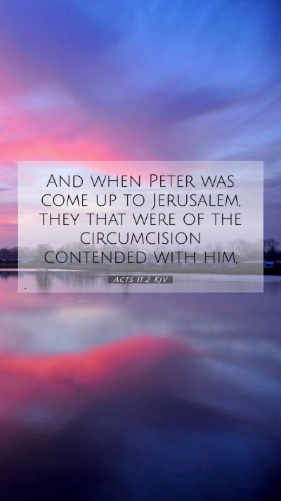Picture 07 - Acts 11:2 KJV Mobile Phone Wallpaper - And when Peter was come up to Jerusalem, they - Mobile Bible Verse Wallpaper