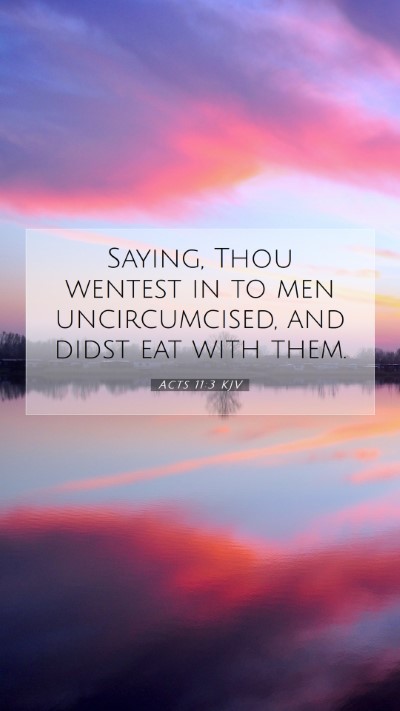 Picture 07 - Acts 11:3 KJV Mobile Phone Wallpaper - Saying, Thou wentest in to men uncircumcised, and - Mobile Bible Verse Wallpaper