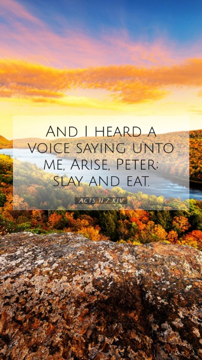 Picture 07 - Acts 11:7 KJV Mobile Phone Wallpaper - And I heard a voice saying unto me, Arise, Peter; - Mobile Bible Verse Wallpaper