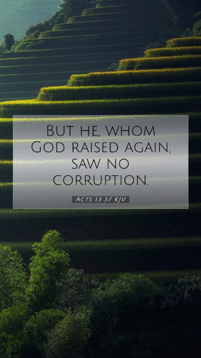 Picture 07 - Acts 13:37 KJV Mobile Phone Wallpaper - But he, whom God raised again, saw no - Mobile Bible Verse Wallpaper