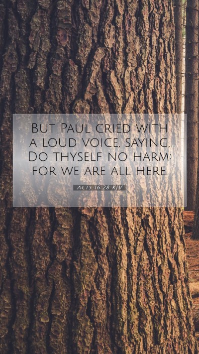 Picture 07 - Acts 16:28 KJV Mobile Phone Wallpaper - But Paul cried with a loud voice, saying, Do - Mobile Bible Verse Wallpaper