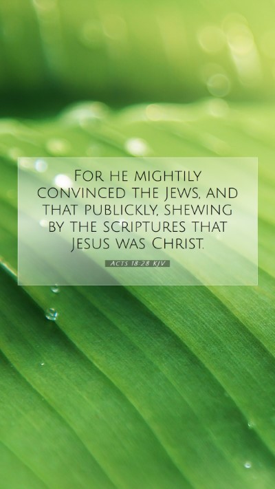 Picture 07 - Acts 18:28 KJV Mobile Phone Wallpaper - For he mightily convinced the Jews, and that - Mobile Bible Verse Wallpaper