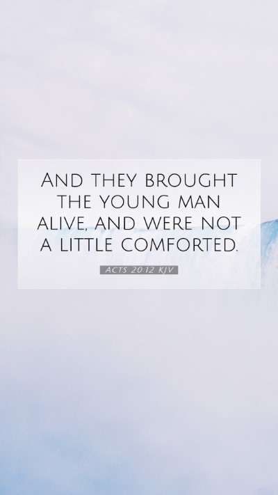Picture 07 - Acts 20:12 KJV Mobile Phone Wallpaper - And they brought the young man alive, and were - Mobile Bible Verse Wallpaper