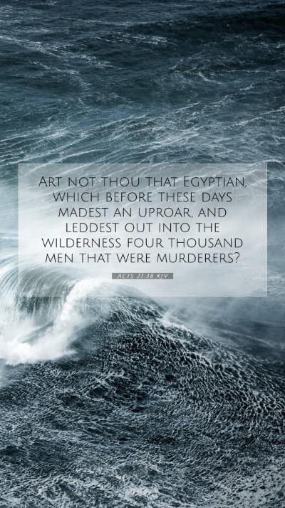 Picture 07 - Acts 21:38 KJV Mobile Phone Wallpaper - Art not thou that Egyptian, which before these - Mobile Bible Verse Wallpaper