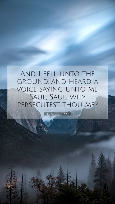Picture 07 - Acts 22:7 KJV Mobile Phone Wallpaper - And I fell unto the ground, and heard a voice - Mobile Bible Verse Wallpaper