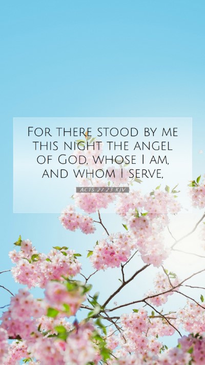 Picture 07 - Acts 27:23 KJV Mobile Phone Wallpaper - For there stood by me this night the angel of - Mobile Bible Verse Wallpaper