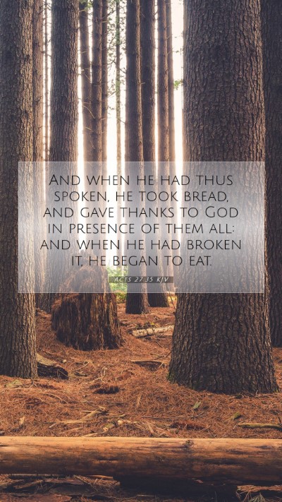 Picture 07 - Acts 27:35 KJV Mobile Phone Wallpaper - And when he had thus spoken, he took bread, and - Mobile Bible Verse Wallpaper