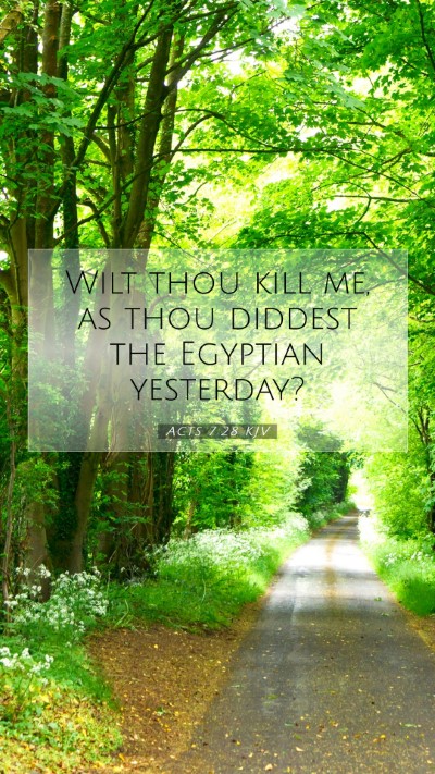 Picture 07 - Acts 7:28 KJV Mobile Phone Wallpaper - Wilt thou kill me, as thou diddest the Egyptian - Mobile Bible Verse Wallpaper