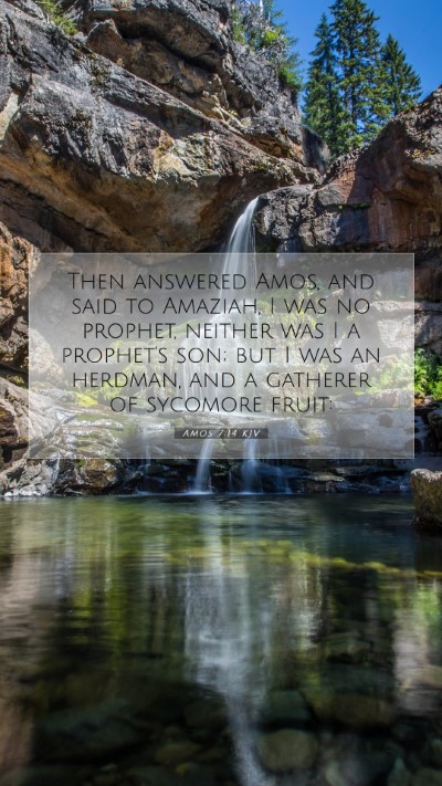 Picture 07 - Amos 7:14 KJV Mobile Phone Wallpaper - Then answered Amos, and said to Amaziah, I was no - Mobile Bible Verse Wallpaper