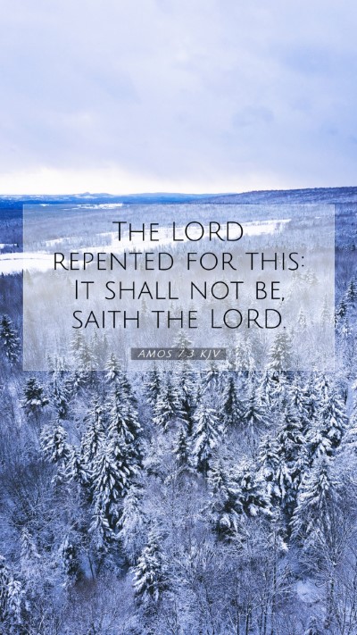 Picture 07 - Amos 7:3 KJV Mobile Phone Wallpaper - The LORD repented for this: It shall not be, - Mobile Bible Verse Wallpaper