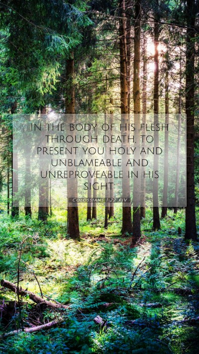 Picture 07 - Colossians 1:22 KJV Mobile Phone Wallpaper - In the body of his flesh through death, to - Mobile Bible Verse Wallpaper