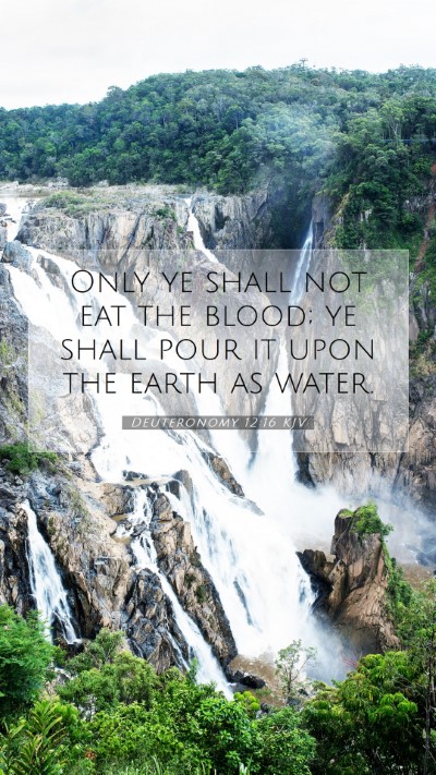 Picture 07 - Deuteronomy 12:16 KJV Mobile Phone Wallpaper - Only ye shall not eat the blood; ye shall pour it - Mobile Bible Verse Wallpaper