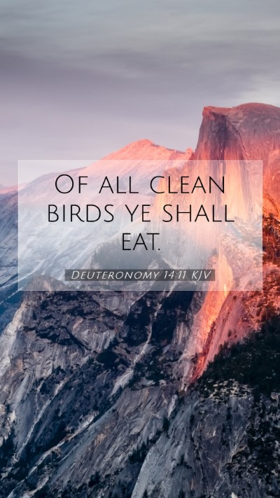 Picture 07 - Deuteronomy 14:11 KJV Mobile Phone Wallpaper - Of all clean birds ye shall - Mobile Bible Verse Wallpaper