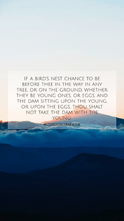 Picture 07 - Deuteronomy 22:6 KJV Mobile Phone Wallpaper - If a bird's nest chance to be before thee in the - Mobile Bible Verse Wallpaper
