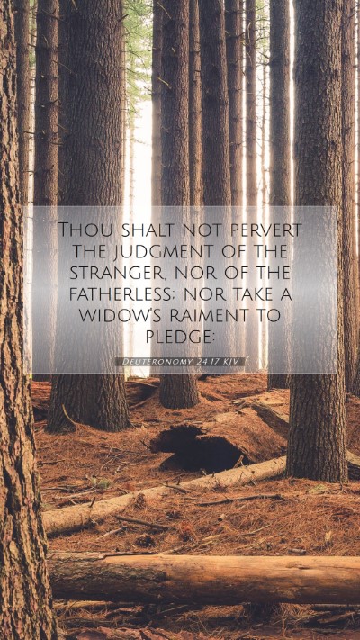 Picture 07 - Deuteronomy 24:17 KJV Mobile Phone Wallpaper - Thou shalt not pervert the judgment of the - Mobile Bible Verse Wallpaper