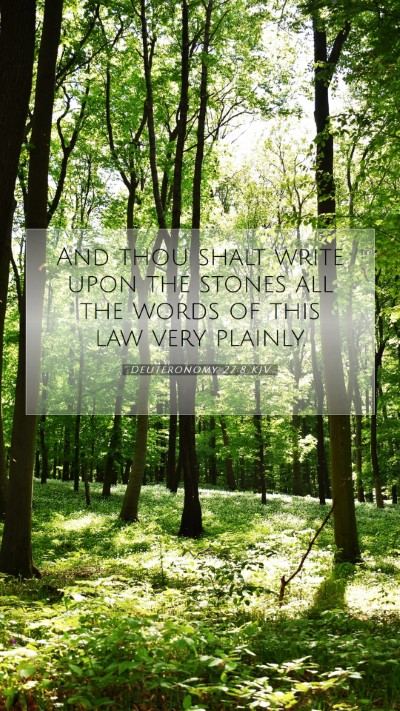 Picture 07 - Deuteronomy 27:8 KJV Mobile Phone Wallpaper - And thou shalt write upon the stones all the - Mobile Bible Verse Wallpaper