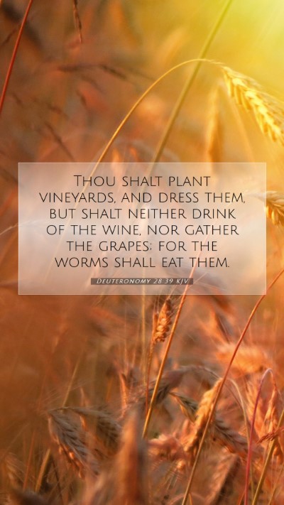 Picture 07 - Deuteronomy 28:39 KJV Mobile Phone Wallpaper - Thou shalt plant vineyards, and dress them, but - Mobile Bible Verse Wallpaper