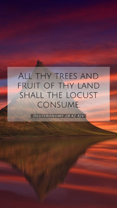 Picture 07 - Deuteronomy 28:42 KJV Mobile Phone Wallpaper - All thy trees and fruit of thy land shall the - Mobile Bible Verse Wallpaper