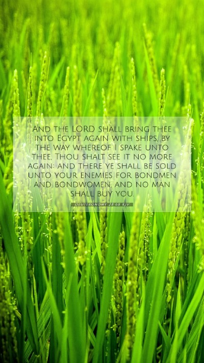 Picture 07 - Deuteronomy 28:68 KJV Mobile Phone Wallpaper - And the LORD shall bring thee into Egypt again - Mobile Bible Verse Wallpaper