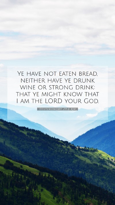 Picture 07 - Deuteronomy 29:6 KJV Mobile Phone Wallpaper - Ye have not eaten bread, neither have ye drunk - Mobile Bible Verse Wallpaper