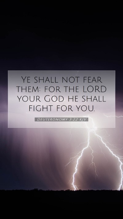 Picture 07 - Deuteronomy 3:22 KJV Mobile Phone Wallpaper - Ye shall not fear them: for the LORD your God he - Mobile Bible Verse Wallpaper