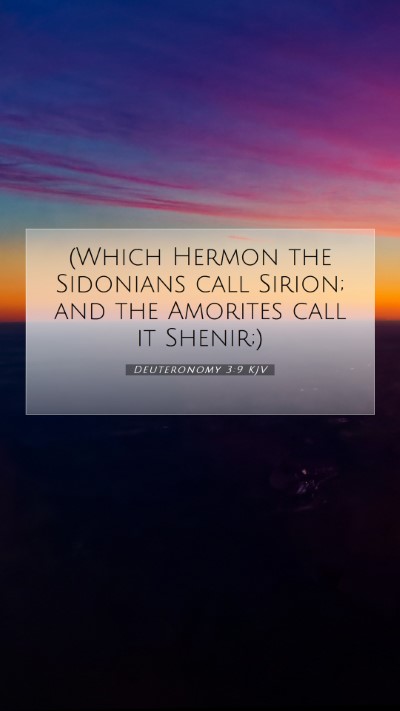 Picture 07 - Deuteronomy 3:9 KJV Mobile Phone Wallpaper - (Which Hermon the Sidonians call Sirion; and the - Mobile Bible Verse Wallpaper