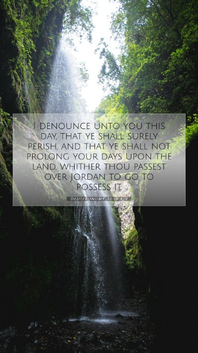 Picture 07 - Deuteronomy 30:18 KJV Mobile Phone Wallpaper - I denounce unto you this day, that ye shall - Mobile Bible Verse Wallpaper