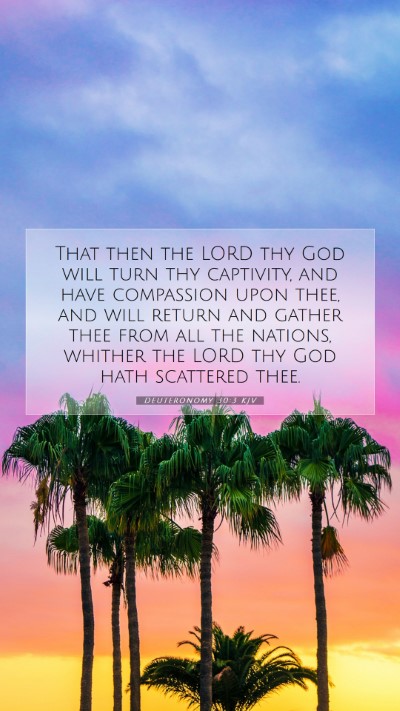 Picture 07 - Deuteronomy 30:3 KJV Mobile Phone Wallpaper - That then the LORD thy God will turn thy - Mobile Bible Verse Wallpaper