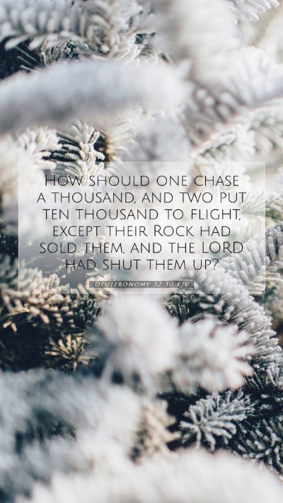 Picture 07 - Deuteronomy 32:30 KJV Mobile Phone Wallpaper - How should one chase a thousand, and two put ten - Mobile Bible Verse Wallpaper