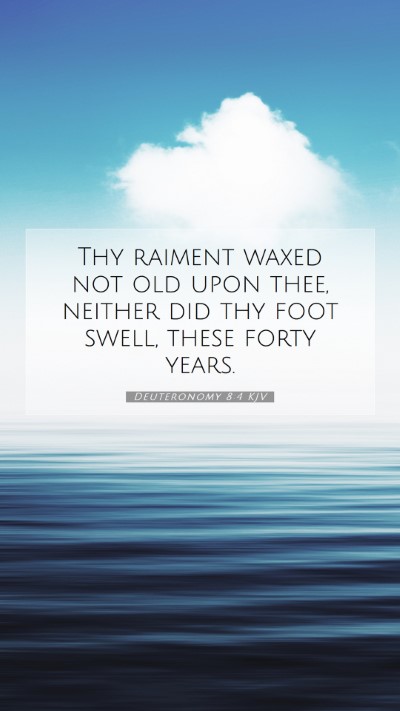 Picture 07 - Deuteronomy 8:4 KJV Mobile Phone Wallpaper - Thy raiment waxed not old upon thee, neither did - Mobile Bible Verse Wallpaper