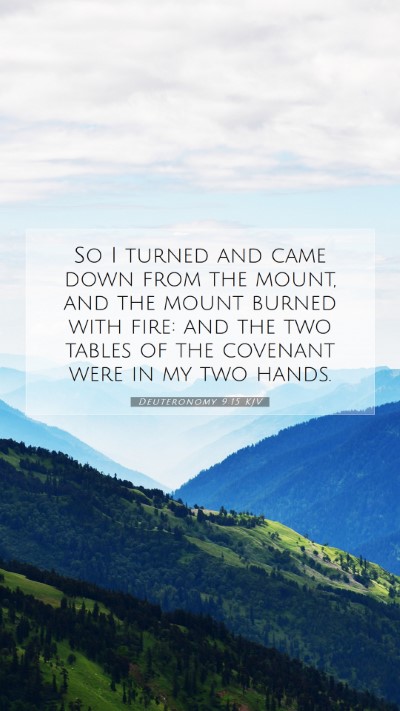 Picture 07 - Deuteronomy 9:15 KJV Mobile Phone Wallpaper - So I turned and came down from the mount, and the - Mobile Bible Verse Wallpaper