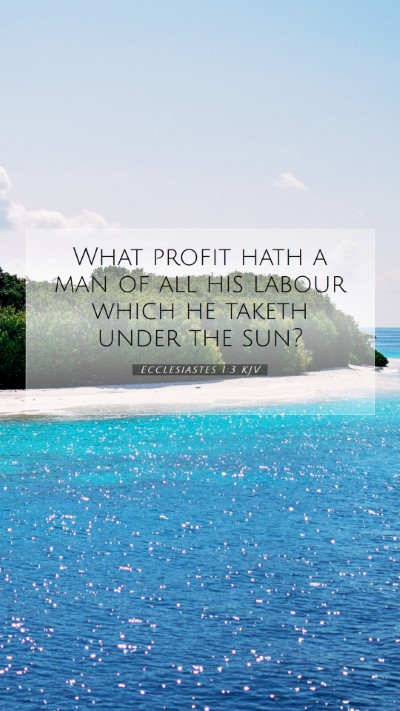 Picture 07 - Ecclesiastes 1:3 KJV Mobile Phone Wallpaper - What profit hath a man of all his labour which he - Mobile Bible Verse Wallpaper