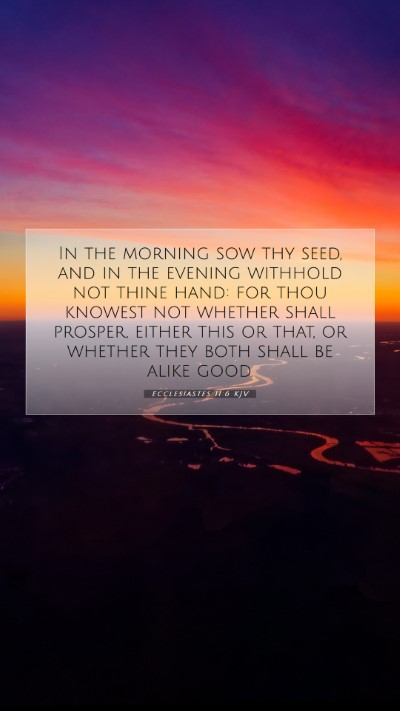 Picture 07 - Ecclesiastes 11:6 KJV Mobile Phone Wallpaper - In the morning sow thy seed, and in the evening - Mobile Bible Verse Wallpaper