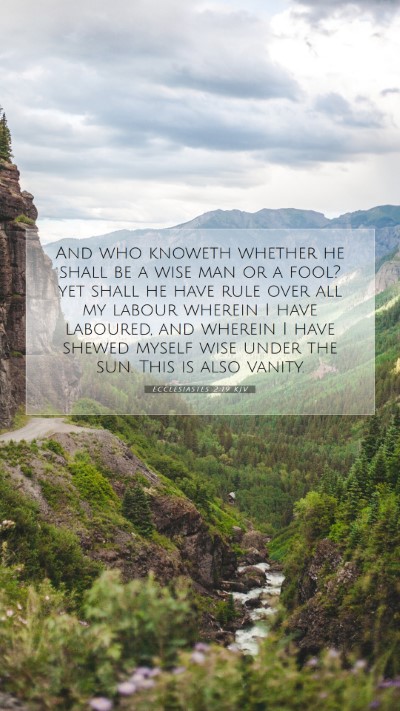 Picture 07 - Ecclesiastes 2:19 KJV Mobile Phone Wallpaper - And who knoweth whether he shall be a wise man or - Mobile Bible Verse Wallpaper
