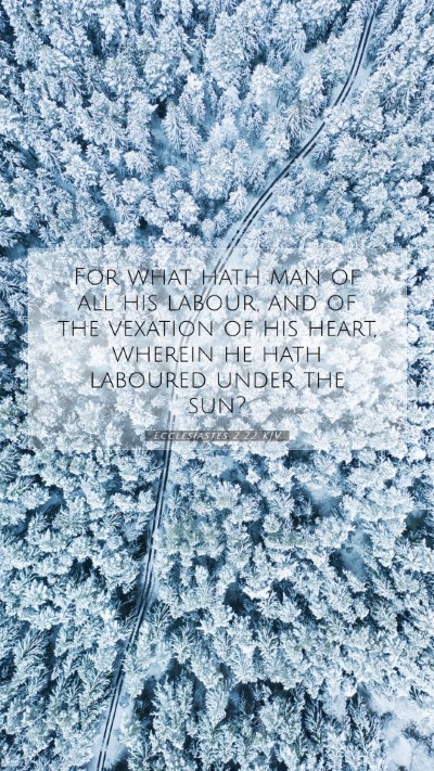 Picture 07 - Ecclesiastes 2:22 KJV Mobile Phone Wallpaper - For what hath man of all his labour, and of the - Mobile Bible Verse Wallpaper