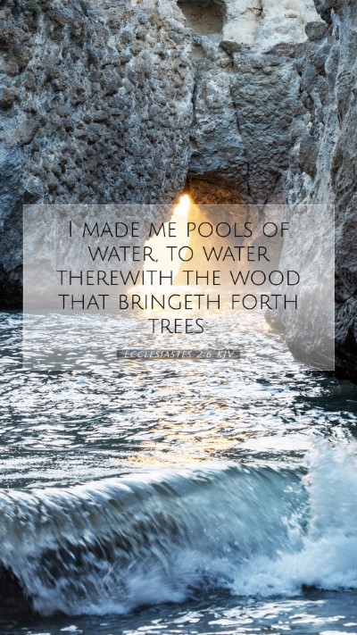 Picture 07 - Ecclesiastes 2:6 KJV Mobile Phone Wallpaper - I made me pools of water, to water therewith the - Mobile Bible Verse Wallpaper