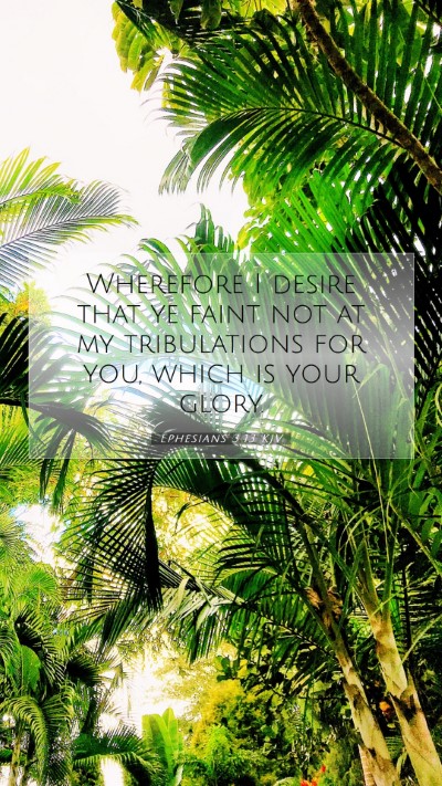 Picture 07 - Ephesians 3:13 KJV Mobile Phone Wallpaper - Wherefore I desire that ye faint not at my - Mobile Bible Verse Wallpaper