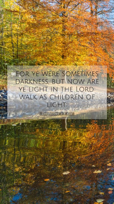 Picture 07 - Ephesians 5:8 KJV Mobile Phone Wallpaper - For ye were sometimes darkness, but now are ye - Mobile Bible Verse Wallpaper