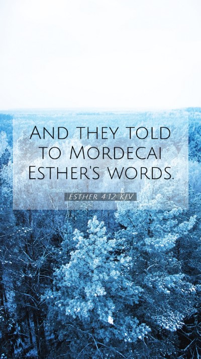 Picture 07 - Esther 4:12 KJV Mobile Phone Wallpaper - And they told to Mordecai Esther's - Mobile Bible Verse Wallpaper