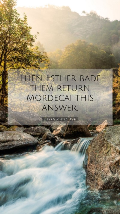 Picture 07 - Esther 4:15 KJV Mobile Phone Wallpaper - Then Esther bade them return Mordecai this - Mobile Bible Verse Wallpaper