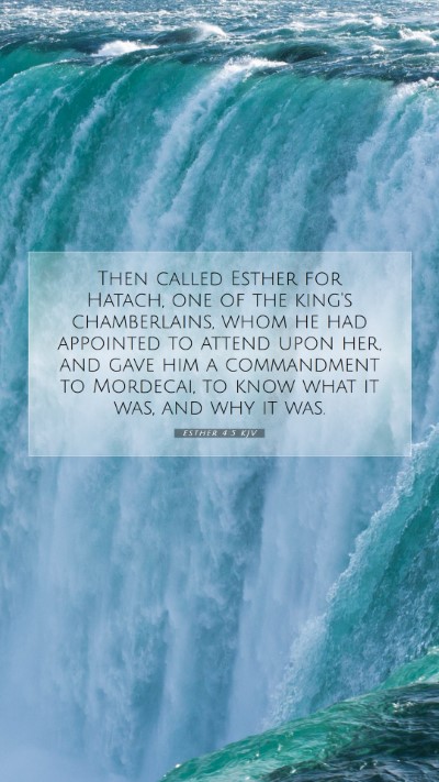 Picture 07 - Esther 4:5 KJV Mobile Phone Wallpaper - Then called Esther for Hatach, one of the king's - Mobile Bible Verse Wallpaper