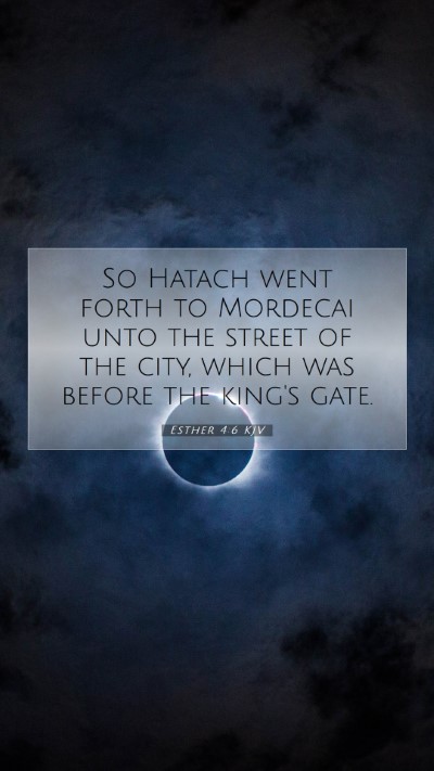 Picture 07 - Esther 4:6 KJV Mobile Phone Wallpaper - So Hatach went forth to Mordecai unto the street - Mobile Bible Verse Wallpaper