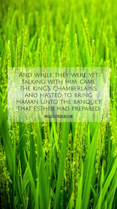 Picture 07 - Esther 6:14 KJV Mobile Phone Wallpaper - And while they were yet talking with him, came - Mobile Bible Verse Wallpaper